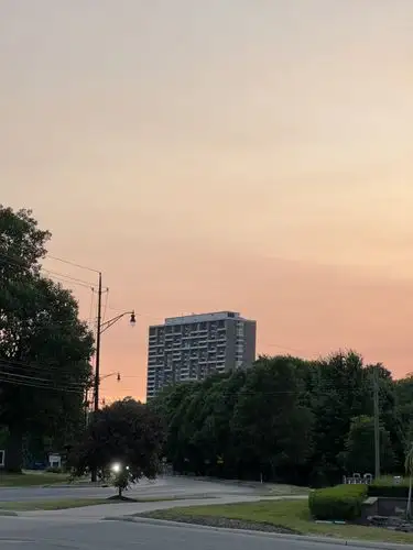 Urban serenity at sunset.